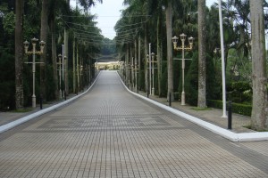 DSC03507